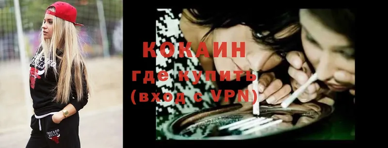 Cocaine Fish Scale  мега онион  Заозёрный 